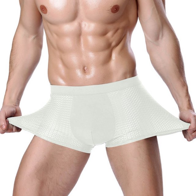 DPTALR Culottes en Soie Glacée Culottes Respirantes Boxeurs en Maille de Nylon