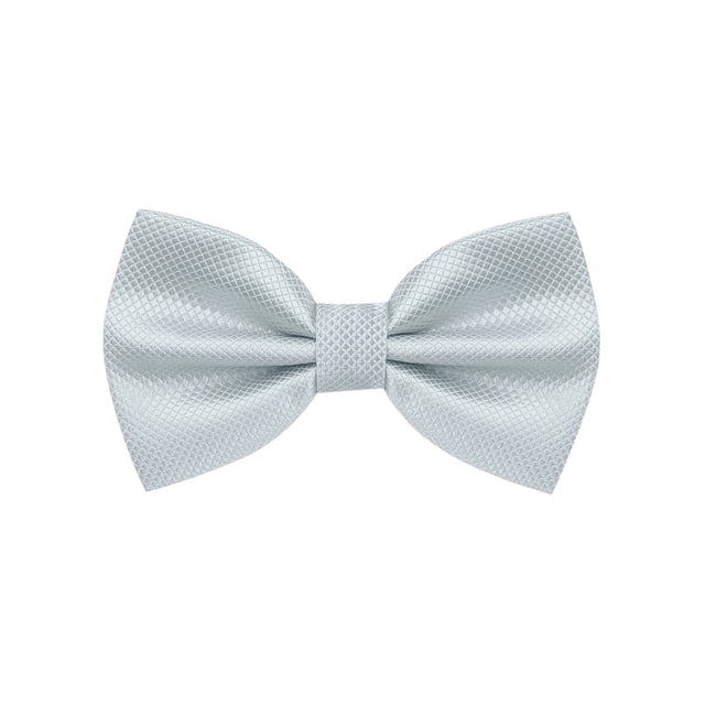 INSPIRE CHIC Men's Grids Patterned Solid Color Adjustable Pre-tied Bow Tie Silver Grey