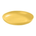 thumbnail image 2 of Grandes Assiettes Rondes en Plastique / Assiettes de Salle à Manger pour Collations, Salade et Os / Fond Antidérapant pour Protéger la Table / Durables et Résistantes aux Égratignures / Ensemble de 1 Assiette pour la Cuisine et la Maison, 2 of 3