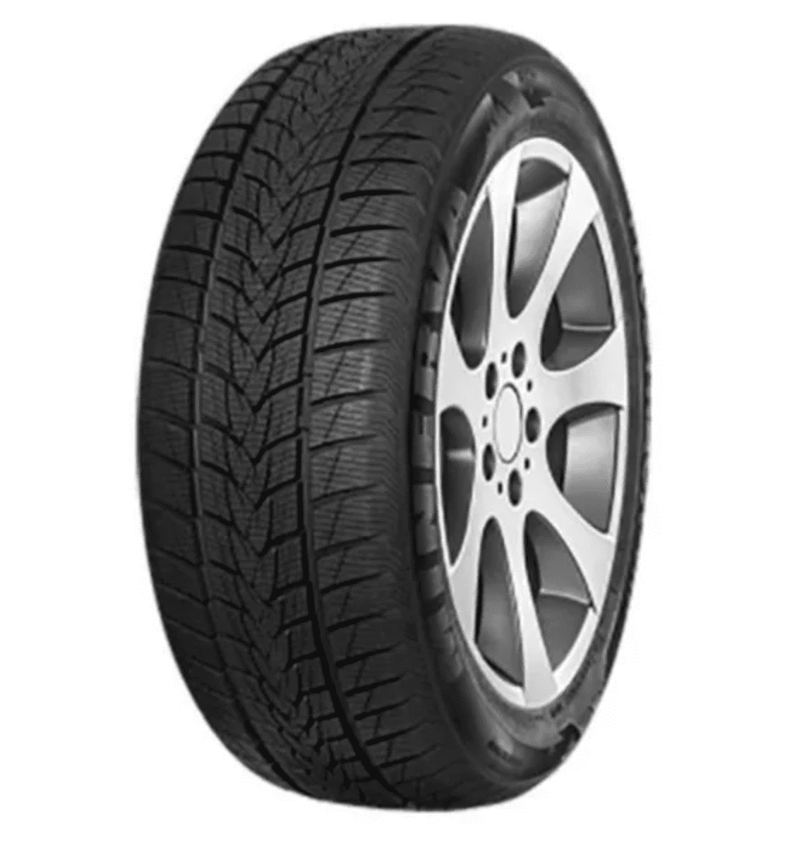 MINERVA FROSTRACK_EN
