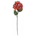 thumbnail image 1 of Vickerman FM181903 Tige d'Hortensia Orange 27 Pouces, 1 of 1
