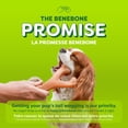 thumbnail image 3 of Benebone Essentials 2-Pack Wishbone, Bacon and Chicken, M/L, 3 of 9