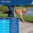 thumbnail image 2 of PetSafe Porte Intérieure pour Chat : Verrouillage à 2 Voies, Battant de Porte pour Animal d'Intérieur - Porte Teintée d'Intimité pour Bac à Litière pour Chat Ou Mangeoire pour Animal, Serrure de Porte Intégrée,, 2 of 6