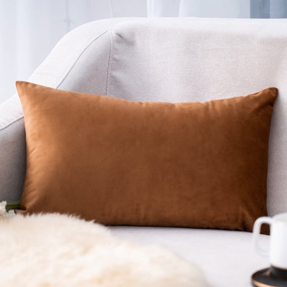 Housse de Coussin Rectangulaire en Velours, Coussin Lombaire, 30x50 cm, Matériau Polyester, Fermeture Style Enveloppe, Frais et Respirant, Lavable, Tissu Brossé Confortable, Convient comme Cadeau