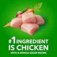 thumbnail image 4 of Iams Minichunks Adult Dry Dog Food Chicken & Whole Grains Recipe 10kg, 4 of 16