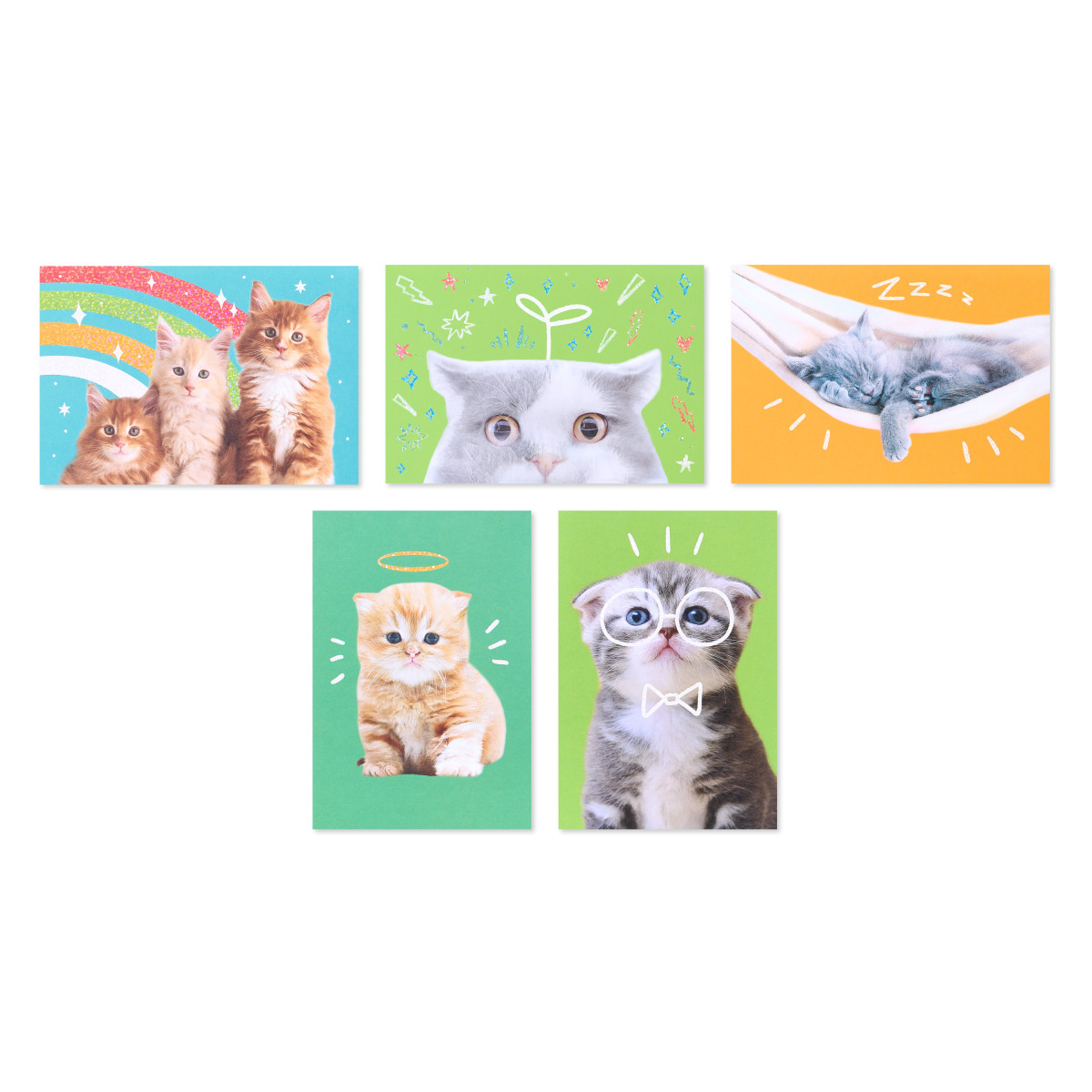 American Greetings - Assortiment en boîte de 15 cartes sans texte et enveloppes, Chats rigolos