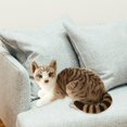 thumbnail image 1 of Soft Simulation Siamese Cats Lifelike Comfortable Stuffed Doll Lovely Cat Plush StyleC, 1 of 9