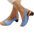 thumbnail image 1 of Low Chunky Heel Sandals for Women Buckle Pumps Shoes Summer Open Toe Platform Sandals, 1 of 2