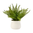 thumbnail image 3 of Fougère artificielle Anko en pot, 3 of 6