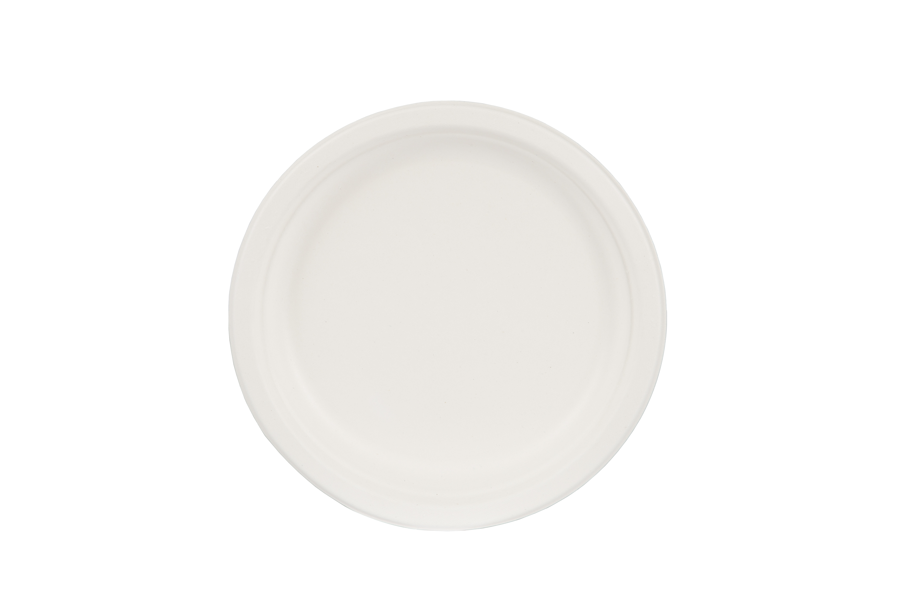 iECO Assiettes à repas léger en bagasse 9 po, 125 assiettes