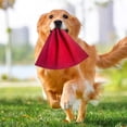 thumbnail image 3 of High Toughness Leather Training Rag for Large Dogs - Interactive Tug of War Game to Enhance Puppy Prey Drive and Grip, 3 of 4