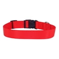 thumbnail image 4 of Pet Attire by Coastal Medium 12-18" Red Adjustable Buckle Dog Collar, 4 of 9