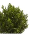 thumbnail image 2 of Nearly Natural 6880 2` Cedar Artificial Bush (Indoor/Outdoor), 2 of 5