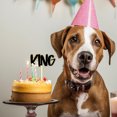thumbnail image 4 of fastboy Happy Birthday Dog Pet Cake Plaque, 4 of 9