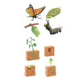 thumbnail image 1 of HILABEE Figurines du Cycle de Vie Jouet Papillon et Plantes de Haricot Cadeau Jouet Scientifique pour Enfants, 1 of 9