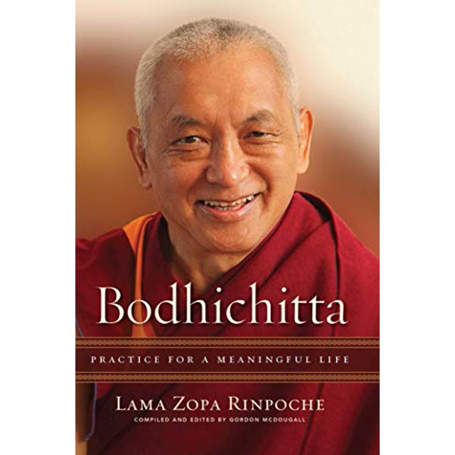 Bodhichitta: Pratique pour une Vie Significative