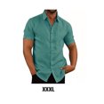 thumbnail image 4 of pitrice Chemise Homme à Simple Boutonnage Été Boutonnée Col Rabattu Polyester Mode Vêtements Cadeau d'Anniversaire Bleu Lac TTTG 1Set, 4 of 5