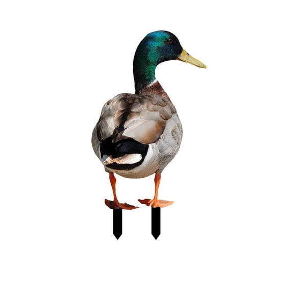 WMQPNNS Nouvelle Tendance Décoration de Volaille Insert de Cour Autocollant Acrylique Coq Décoration d'Art de Cour Décoration de Cour Acrylique Imprimé Recto Verso Cartes de Fête Décoration de Jardin d'Animaux