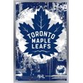 thumbnail image 1 of NHL Toronto Maple Leafs - Maximalist Logo 23 Wall Poster, 22.375" x 34", 1 of 4