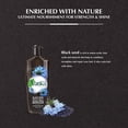 thumbnail image 4 of Dabur Vatika Hair Oil Black Seed Enriched, 4 of 5