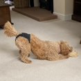 thumbnail image 4 of Pet Reusable Diapers Durable Washable Sanitary Wraps Menstruation Diapers Panties Sanitary Briefs for Pets Pet Underwear, 4 of 8