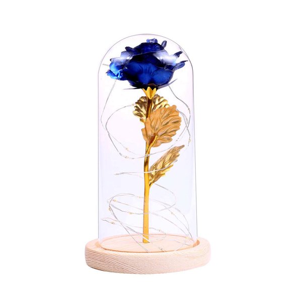 Cadeau d'Anniversaire Belle Fleur de Rose Préservée avec Couvercle en Verre Base en Bois Cadeau de Saint-Valentin Mariage