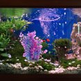 thumbnail image 2 of Landscape Grass Creative Aquarium Grass Bright Color Artificial Plant DIY Tank Plant, 2 of 8