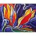 thumbnail image 3 of Betsy Drake TP545 Suspension Murale Extérieure Paradis Violet 24 x 30 Po, 3 of 3
