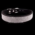 thumbnail image 1 of Collier en Cristal de Bling pour Chien de Compagnie, 1 of 1