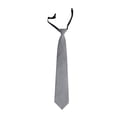 thumbnail image 1 of Boys Girls Solid Color Tie Pre-Tied Adjustable Kids Necktie For Wedding School Graduation Gray B, 1 of 3