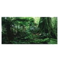 thumbnail image 1 of Fond de Forêt Tropicale, Affiche HD en PVC pour Aquarium, pour Reptile Boîte 91x50 cm, 1 of 8