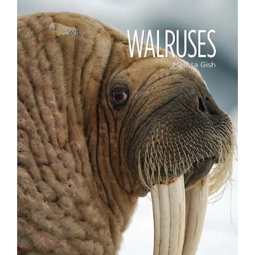 Living Wild : Morses