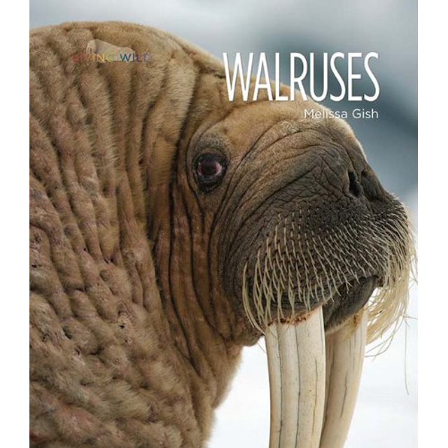 Living Wild : Morses