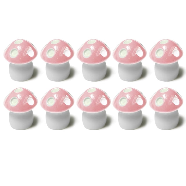 ziyahi 10Pcs Mushroom Toadstool Fairy Garden Terrarium Figurine