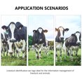 thumbnail image 2 of Shisuyan 100Pcs Tpu Yellow Animal Ear Tags for Cows Goats Identification 2X1.6X0.5In, 2 of 9
