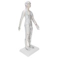 thumbnail image 4 of ANGGREK Modèle d'Acupuncture pour Femmes, Modèle d'Acupuncture avec Base, Ensemble d'Aiguilles d'Acupuncture, 4 of 8