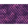 thumbnail image 1 of Ahgly Company Machine Washable Indoor Rectangle Transitional Dark Orchid Purple Area Rugs, 3' x 5', 1 of 7