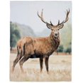thumbnail image 1 of Safdie & Co. Throw Printed Flannel Elk Portrait, 1 of 1