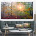 thumbnail image 1 of Morning in Misty Green Forest - Landscape Photo Canvas Art Print, 1 of 3