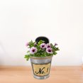 thumbnail image 3 of Minkissy Iron Urn Planter For Gardeners Decorative Planting 1Pack, 3 of 4