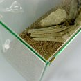 thumbnail image 3 of lionlar Ensemble de 4 Pcs Support Pince Support en Acier Inoxydable pour Réservoir d'Aquarium en Verre - 5 mm, 3 of 9