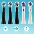 thumbnail image 1 of WIFKLSIIPG Apply The Music B Electric Toothbrush 5789EB17pro300 Toothbrush Head Cap, 1 of 5