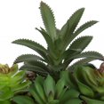 thumbnail image 2 of Macha Faux Green Succulent in White Pot, 2 of 4