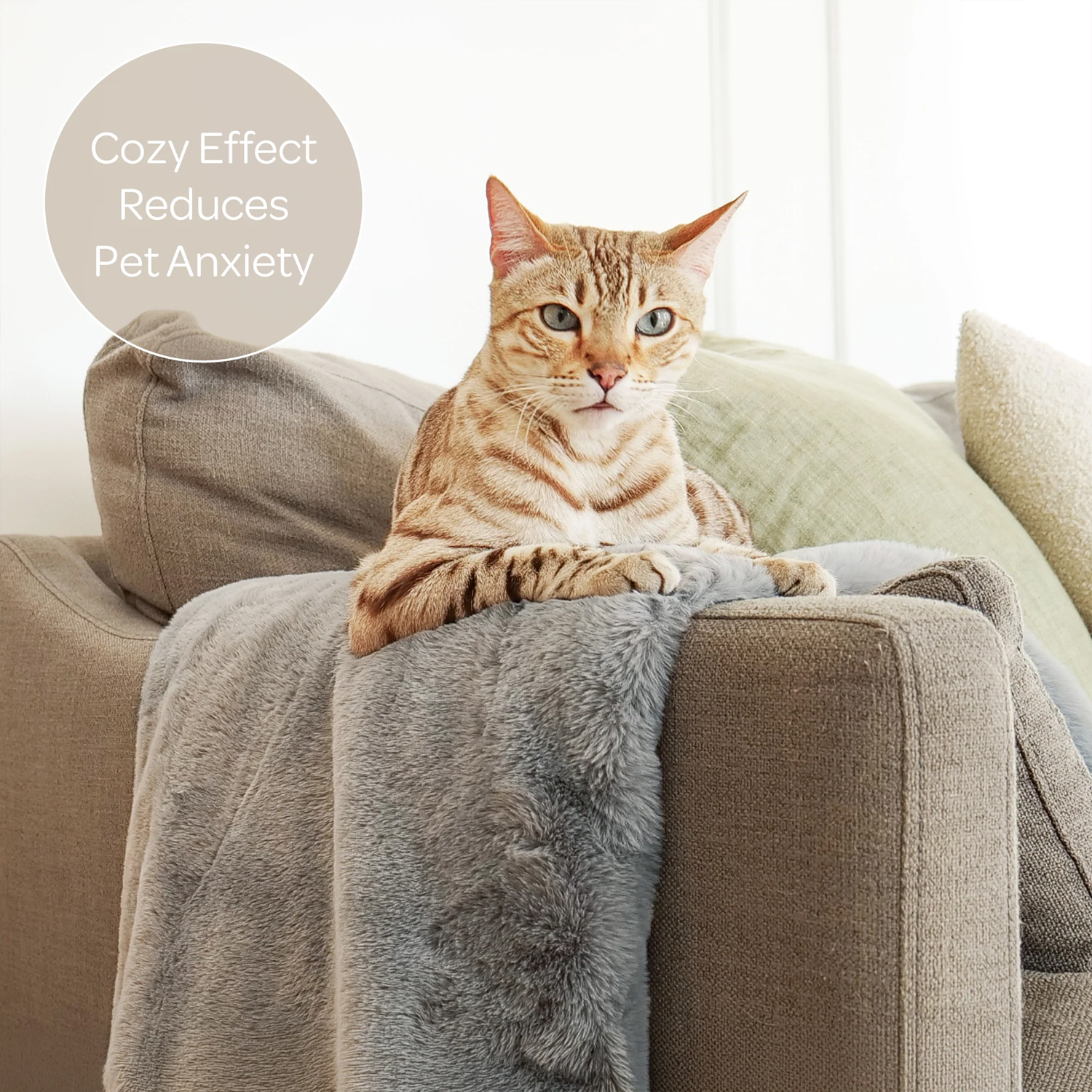 Couverture pour animaux de compagnie Instachew Pixie Throw pour chats et chiens, grise