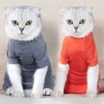 thumbnail image 2 of Combinaison de Récupération pour Animaux, Veste à Quatre Jambes pour Plaies Abdominales pour Chats, 2 of 7