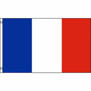 Drapeau de la France en Polyester