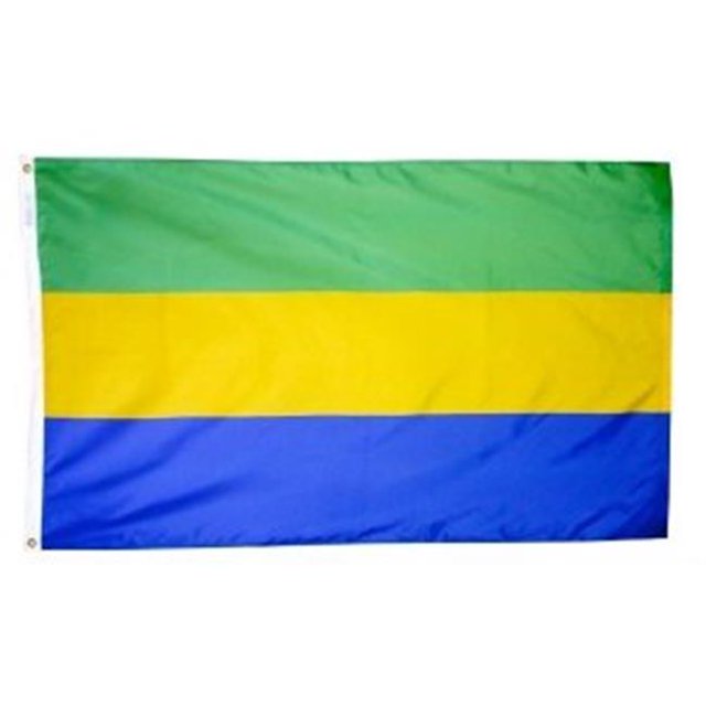 Annin Flagmakers 192762 Drapeau du Gabon Nyl-Glo 5 Pi X 8 Pi