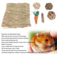 thumbnail image 4 of Hamster Chew Toy Set, Prevent Corrosion  Free  Grass Mat Ball Toy Teeth Grinding  For, 4 of 8