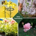 thumbnail image 4 of Homdeep 15.7 Inch Metal Spiral Tomato Stake Climbing Plant Support for Potted Plants, 4 of 7