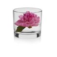 thumbnail image 1 of Libbey Capstan Cylinder Vase, 1 of 3